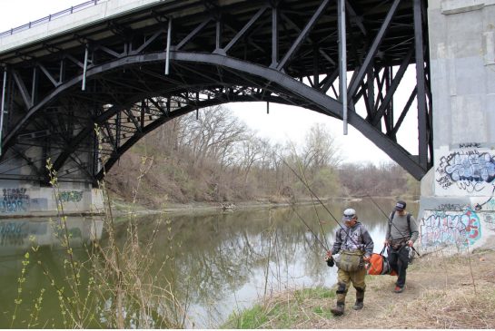 Angling For Dinner In Toronto S Humber River Keep Canada Fishing